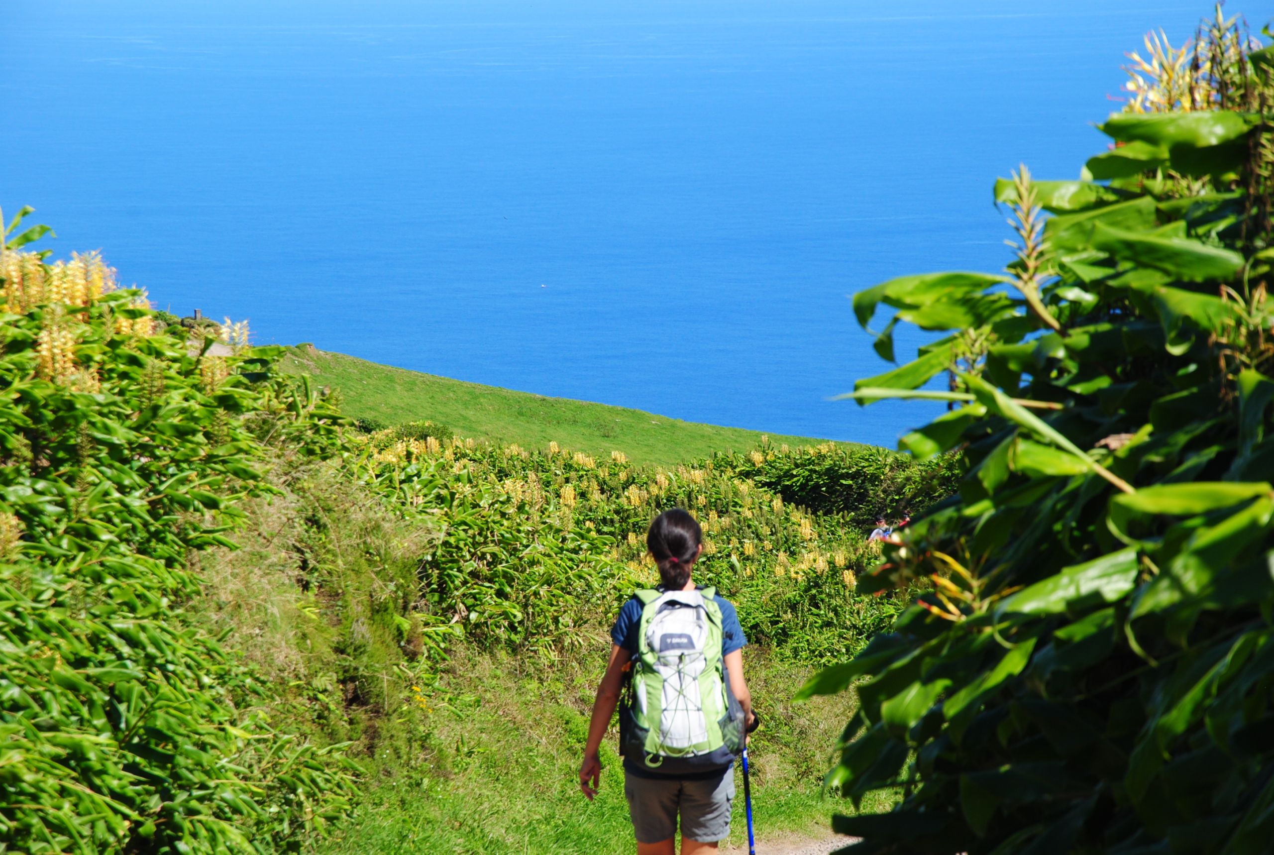 Escursionista lungo un sentiero verde con vista sull’oceano a São Miguel, Azzorre.